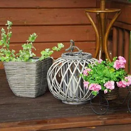 Kuivajaerven Huvilakoti By Interhome 別荘 *