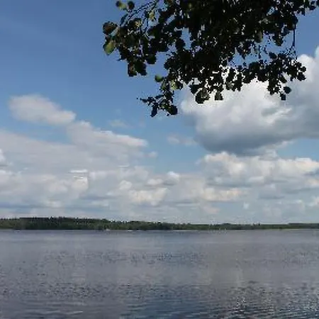 Kuivajaerven Huvilakoti By Interhome 別荘 Tammela