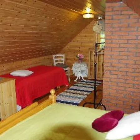 Kuivajaerven Huvilakoti By Interhome Tatil Evi Tammela